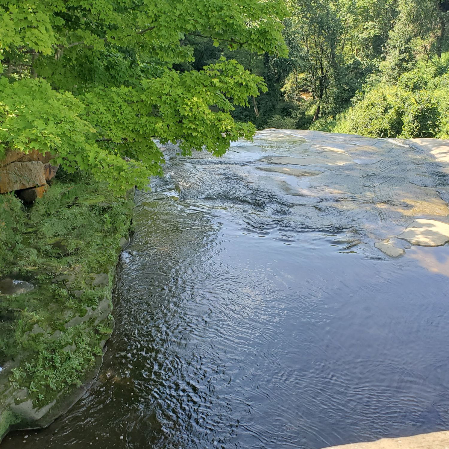 Stanford and Brandywine Gorge Trails 